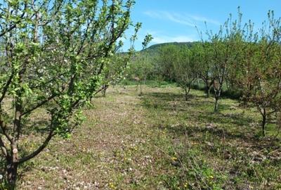 Casă individuală cu 2 camere cu Teren 1900 Mp în Stoiana - 10