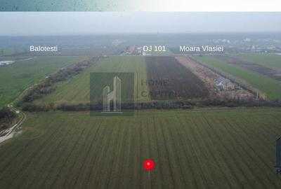 Teren de vanzare 10.000 mp | Căciulați, Moara Vlăsiei | Balotesti - 3