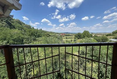 VAND O VILA IN PADUREA DIN FILIPESTI - 19