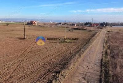 Teren investi?ie intravilan 3600 mp Dumbrava Ro?ie - 1