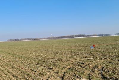 Proprietar vand teren in com. 1 Decembrie - 3