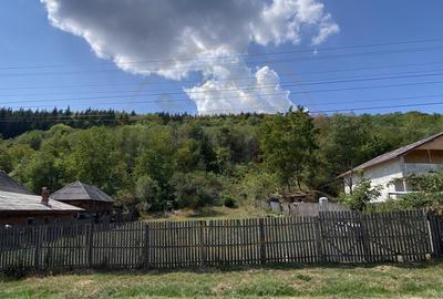 Teren 4000 mp intravilan loc. Aninoasa, jud Arges. Comision 0% - 6