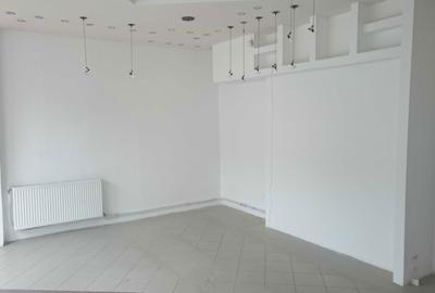 Spațiu comercial, de 65 mp, în Nicolae Titulescu - 2