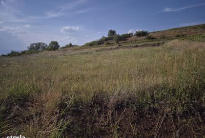 Teren de 827 mp, în Ciugud - 1