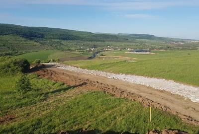 Teren de 3750 mp, în Rădaia - 8