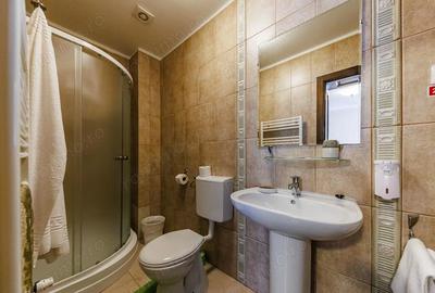 Casă cu 12 camere cu Teren 5028 Mp în Poiana - 14