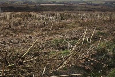 Teren de 5000 mp, în Central - 1