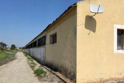 Spațiu comercial, de 1,875 mp, în Ovidiu - 8