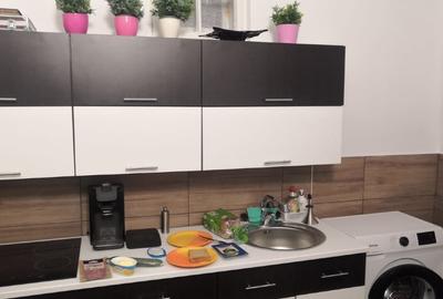 Potențial imobiliar! 2 case in curte, front 30 m, teren 15277 mp - 9