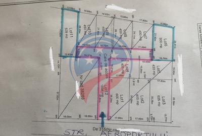 Teren de vanzare/Carcea/Hanul cu Ponei - 3