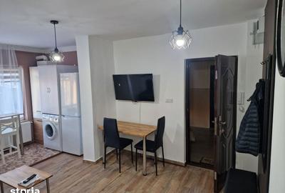 Apartament cu 2 camere decomandat în Aradului - 11