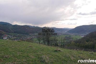 Teren de 69237 mp, în Criș - 5