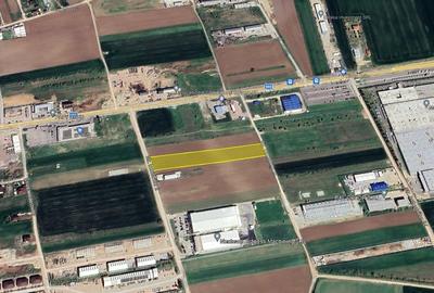 Teren Intravilan - Branesti - Investitie Pentru Hale Industriale - Vanzare - 15