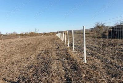 LIPANESTI -Teren intravilan intabulat 1000 mp (la 12 km de Ploiesti) - 6