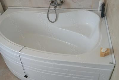 Spa?iu pentru inchiriat . - 3