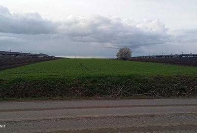 Teren de 10000 mp, în Miroslava