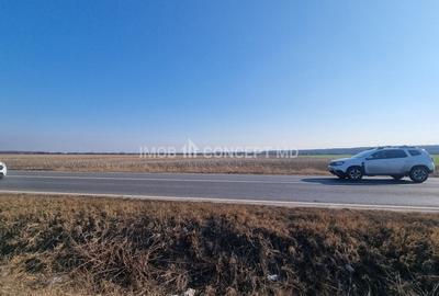 Vanzare Teren Extravilan 11000 mp, in Aricestii Rahtivani, Jud Prahova - 10