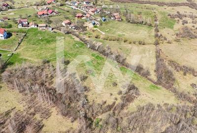 Vanzare teren intravilan 37723 mp Zarnesti Tohanita - 9