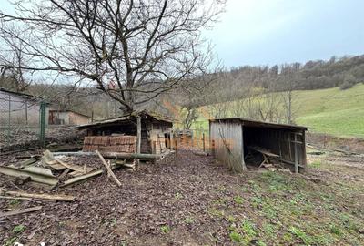 Casă cu 4 camere cu Teren 2846 Mp în Aștileu - 10