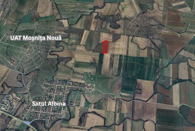 Teren extravilan de vânzare – Comuna Moșnița Nouă, sat Albina, jud. Timiș - 2