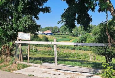 Spațiu comercial, în Dragomirești - 6