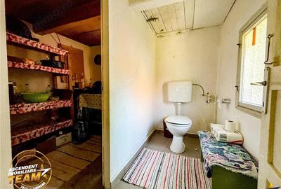 FILM! Doua case+anexe,rezidential comercial de vacanta,Zagon,Covasna - 17