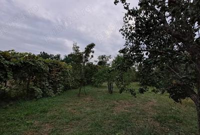 Vind casa in nadab aproape de zona industriala - 2