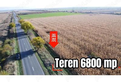 Comision 0! Teren 6800 mp, foarte aproape de de autostrada - 1
