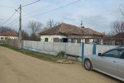 Casă cu Teren 3000 Mp în Bârca - 2