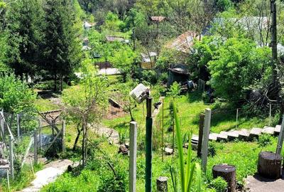 Casă cu 4 camere în Cosminele - 4