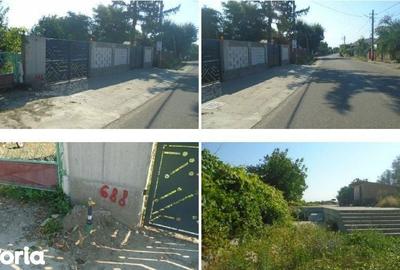 Casă cu 5 camere cu Teren 1918 Mp în Țifești - 7