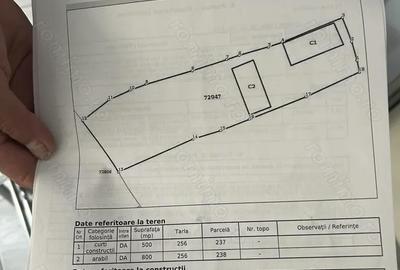 Casă cu 3 camere cu Teren 1400 Mp în Lopadea Veche - 4