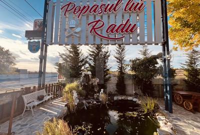 Preluare afacere - Complex Restaurant Popasul Lui Radu, Bradesti - 1