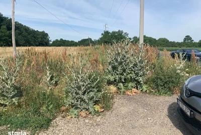 Proprietar vand teren langa Domnesti in Bucsani la padure - 2