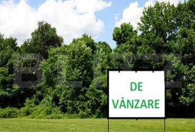 Teren intravilan 2500 mp, front 25ml, zona Sala Polivalenta - 1