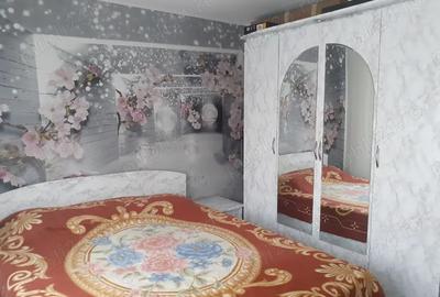 Apartament cu 3 camere semidecomandat în Viziru 1 - 11