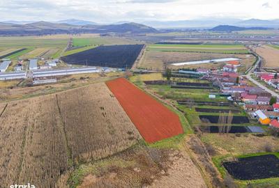 Spațiu comercial, în Bod - 9