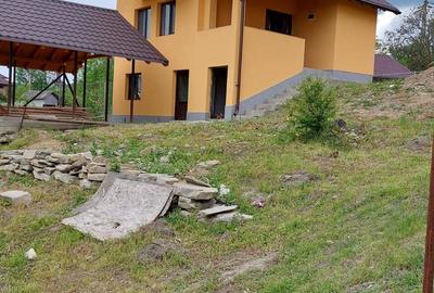 Casă cu 2 camere cu Teren 2000 Mp în Brebu - 9