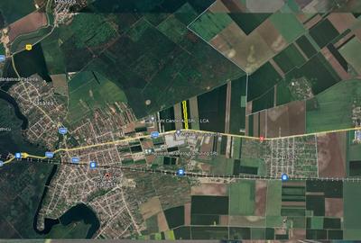 Teren Construcții intravilan de 21500 mp, în Brănești - 11