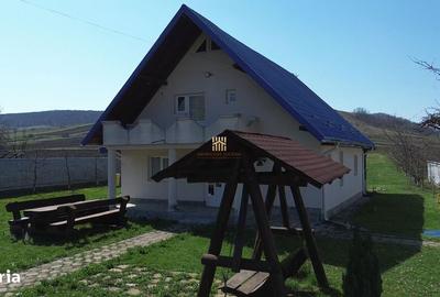 Casă cu 5 camere cu Teren 2396 Mp în Preutești - 12