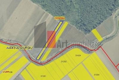 Teren Construcții intravilan de 6100 mp, în Cosoba - 2