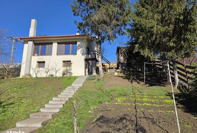 Casă cu 3 camere cu Teren 680 Mp în Podgoria - 20