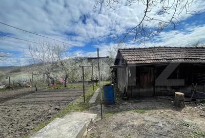 Casă individuală cu 2 camere cu Garaj în Ticu-Colonie - 3