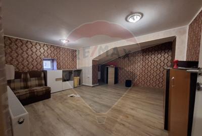 Casă cu 2 camere cu Canalizare în Calea Plevnei - 14