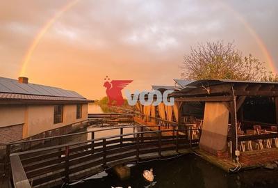 Spațiu comercial, de 19,400 mp, în Peciu Nou - 3