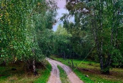 Teren de 7350 mp, în Bulz - 1