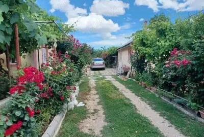 Casa de vanzare - 10