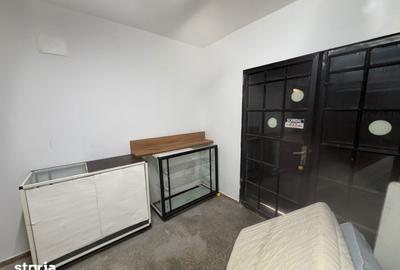Apartament cu 4 camere, mobilat în Girocului - 10