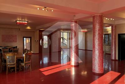 Vila premium, oportunitate rara in zona Eroii Revolutiei, Bulevardul Pieptanari - 4