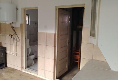 Casă cu 2 camere în Sâncraiu de Mureș - 8